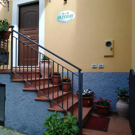 B&B Olivieri