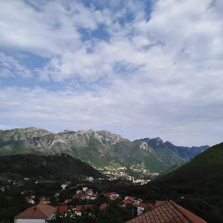 B&B Olivieri